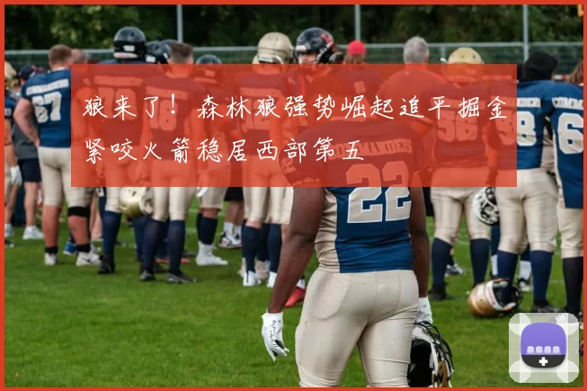 狼来了！森林狼强势崛起追平掘金紧咬火箭稳居西部第五